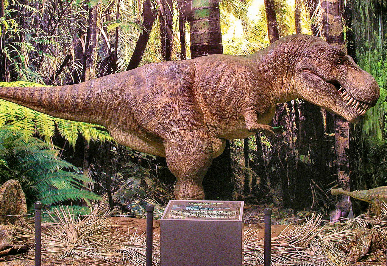 whitaker center dinosaur discovery exhibit