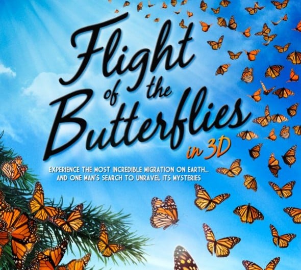 Flight of the Butterflies