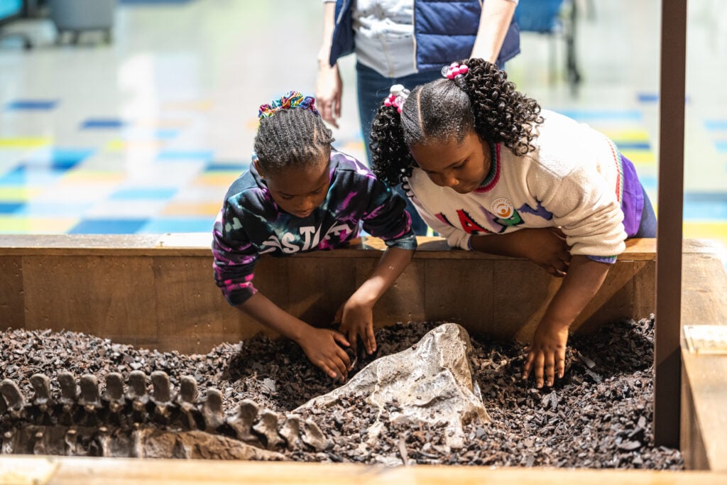 Discover the wonder of Whitaker in the UPMC Science Center.