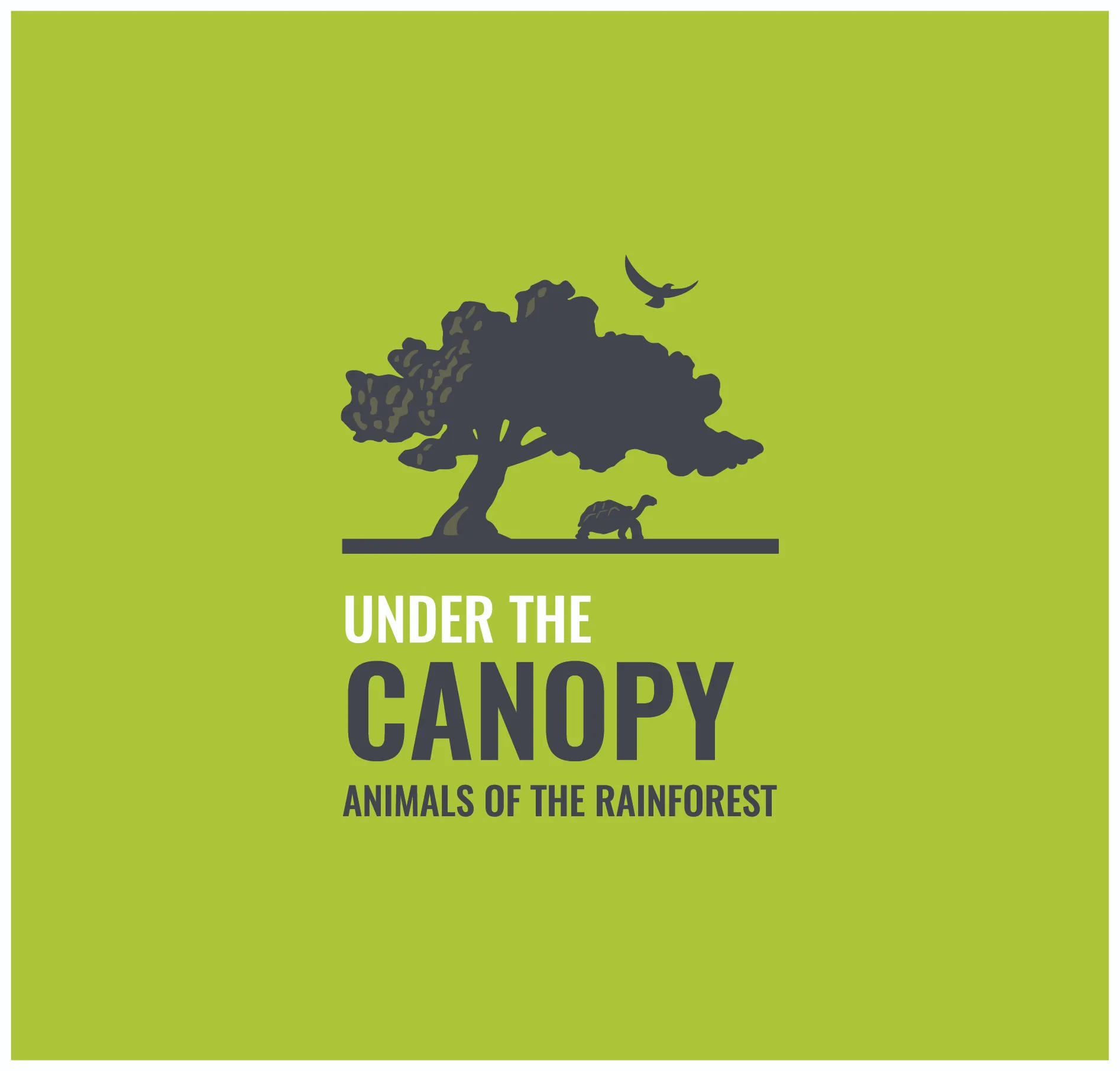 Under the Canopy coming to Whitaker Center in June 2026!