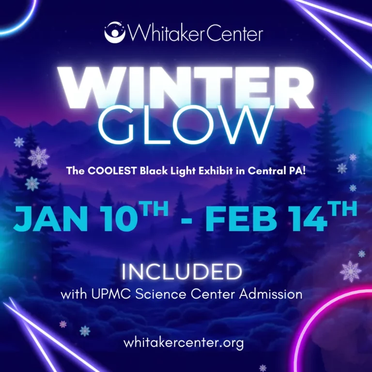 Winter Glow Exhibit comes to Whitaker Center on January 10th and Leaves February 14th!