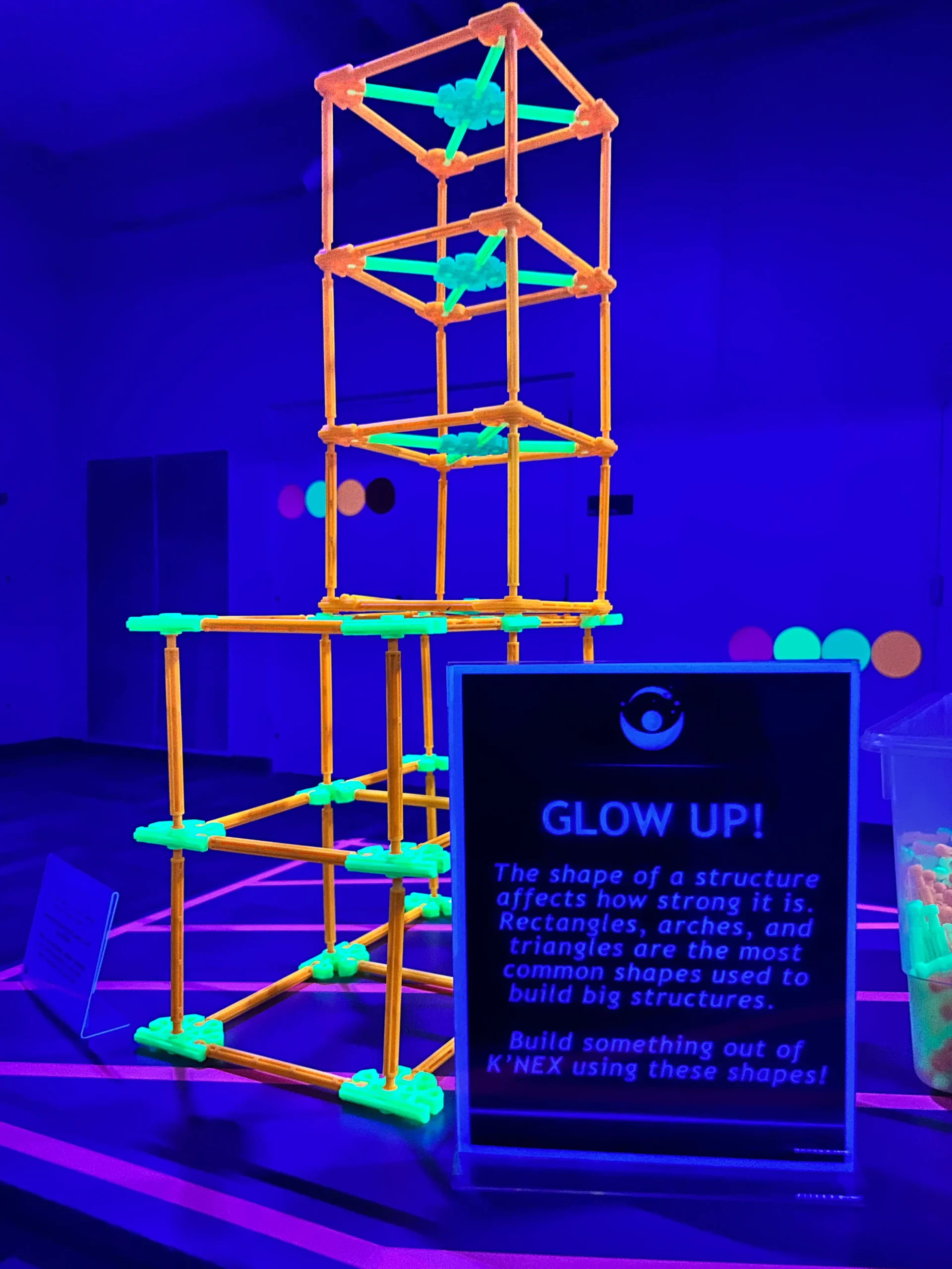 Winter Glow Exhibit comes to Whitaker Center on January 10th and Leaves February 14th!