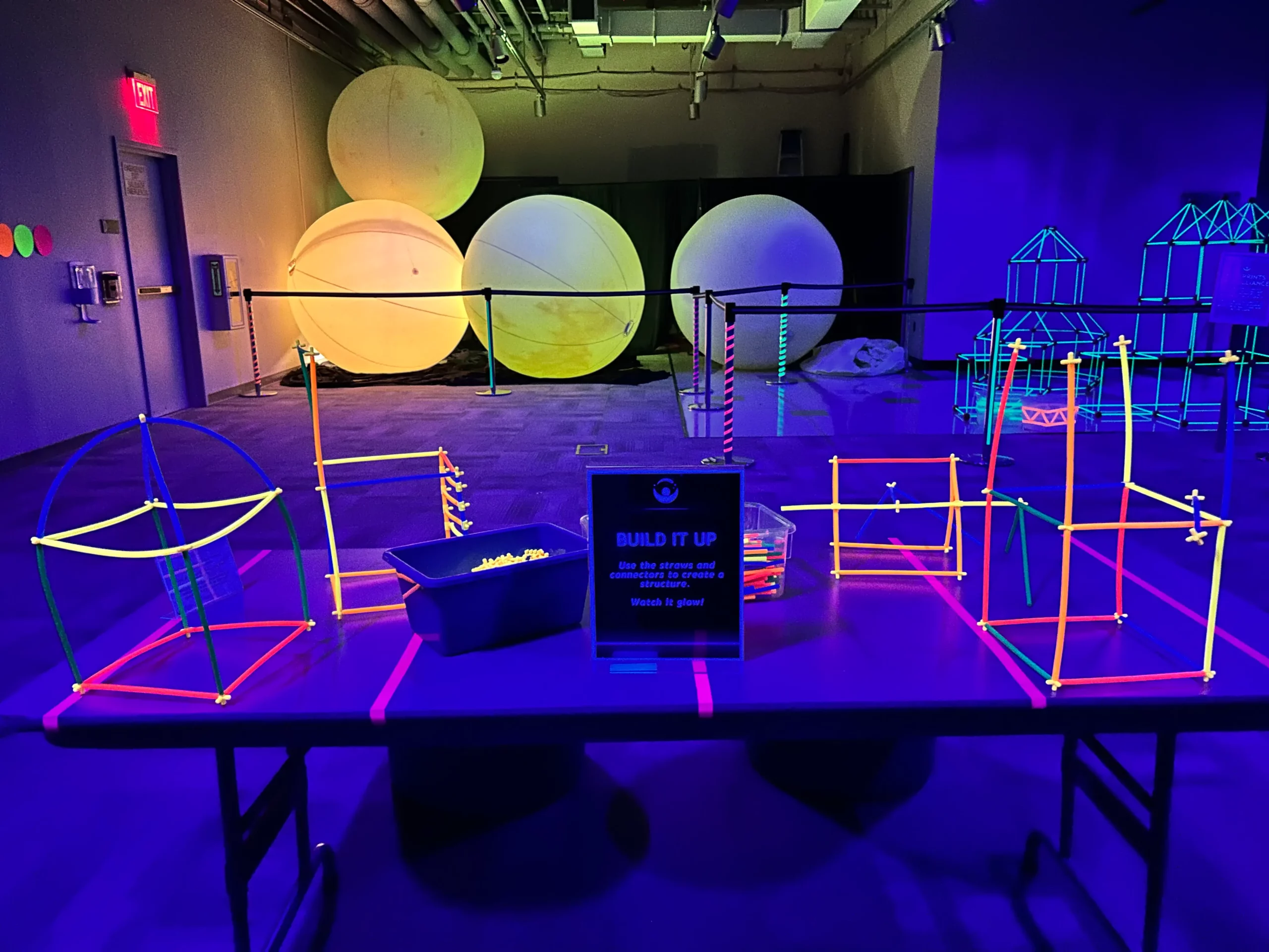 Winter Glow Exhibit comes to Whitaker Center on January 10th and Leaves February 14th!