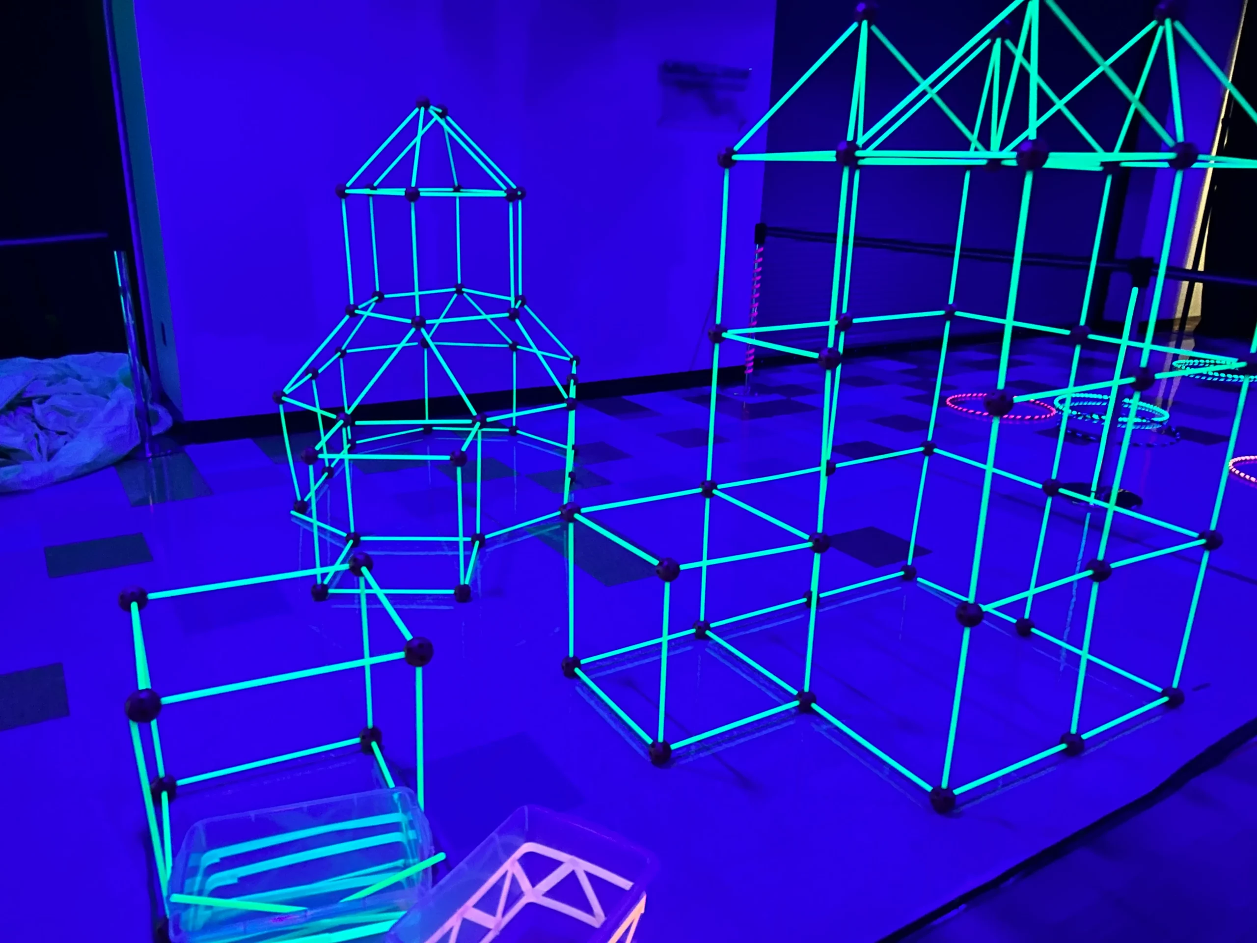 Winter Glow Exhibit comes to Whitaker Center on January 10th and Leaves February 14th!