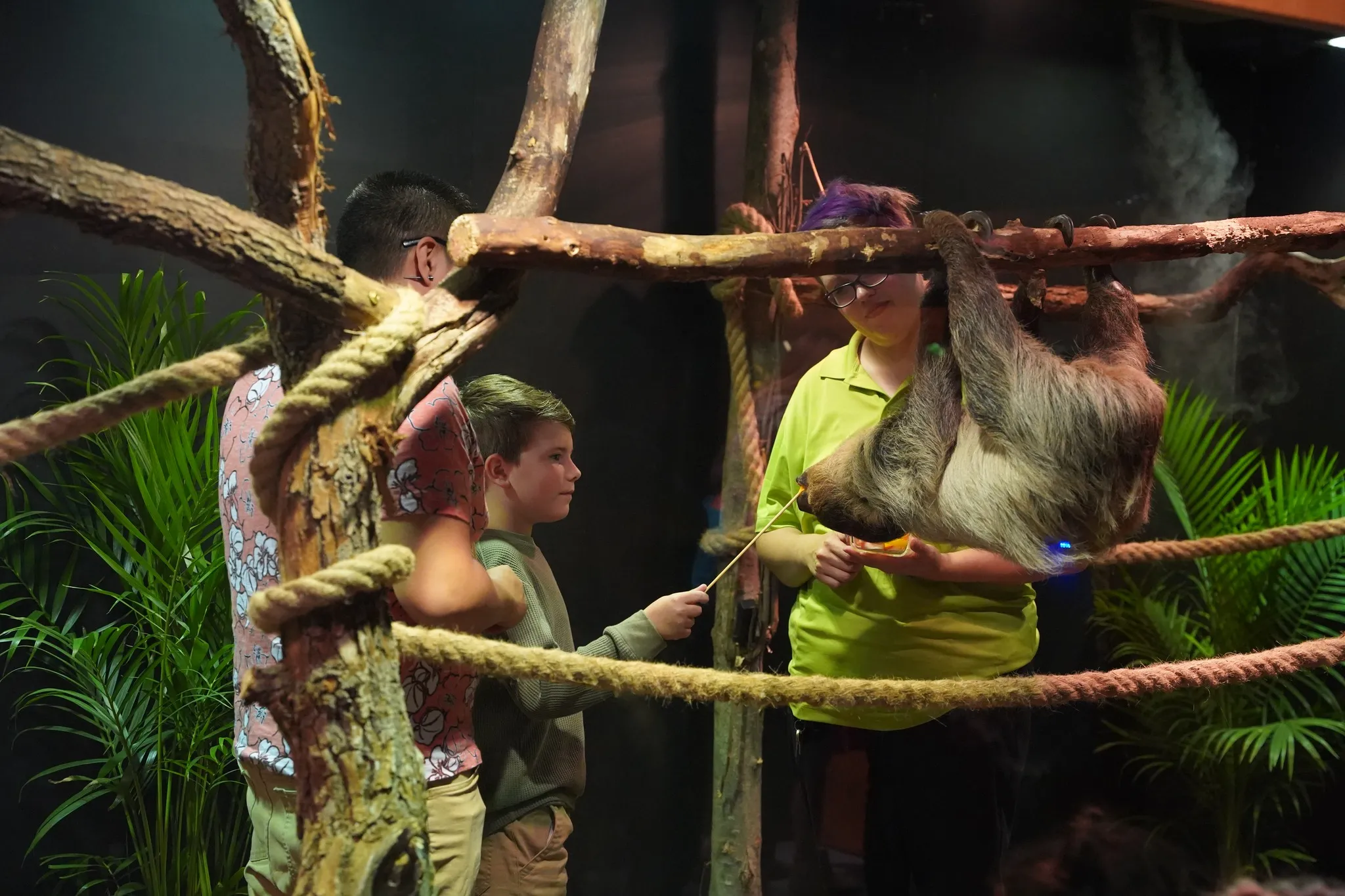 Sloth Encounter at Whitaker Center