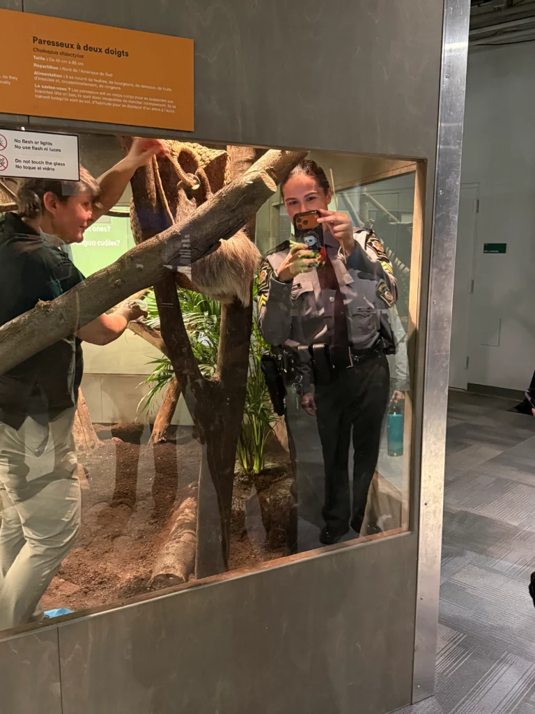 Sloth Encounters at Whitaker Center