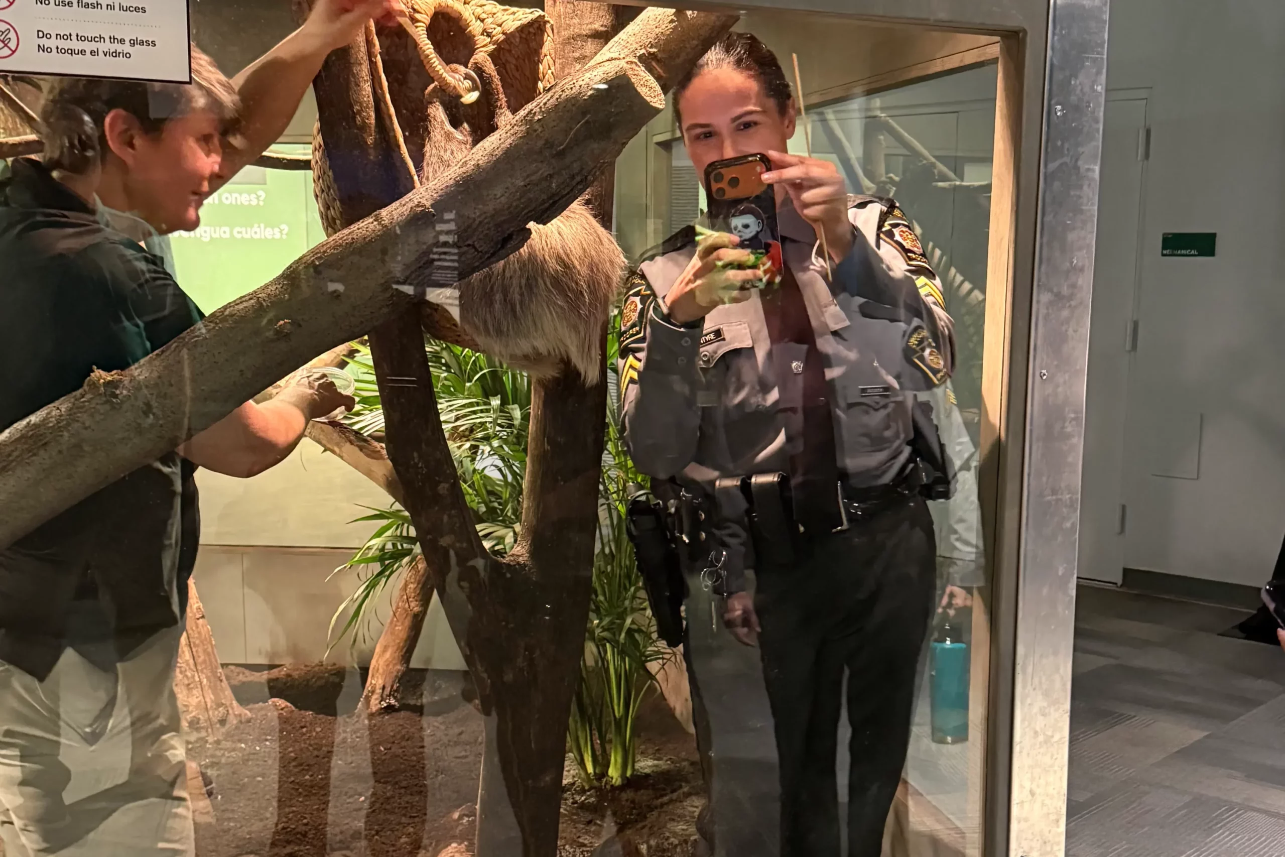 Sloth Encounters at Whitaker Center